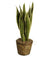 10" Rattan Planter Basket-Wald Imports