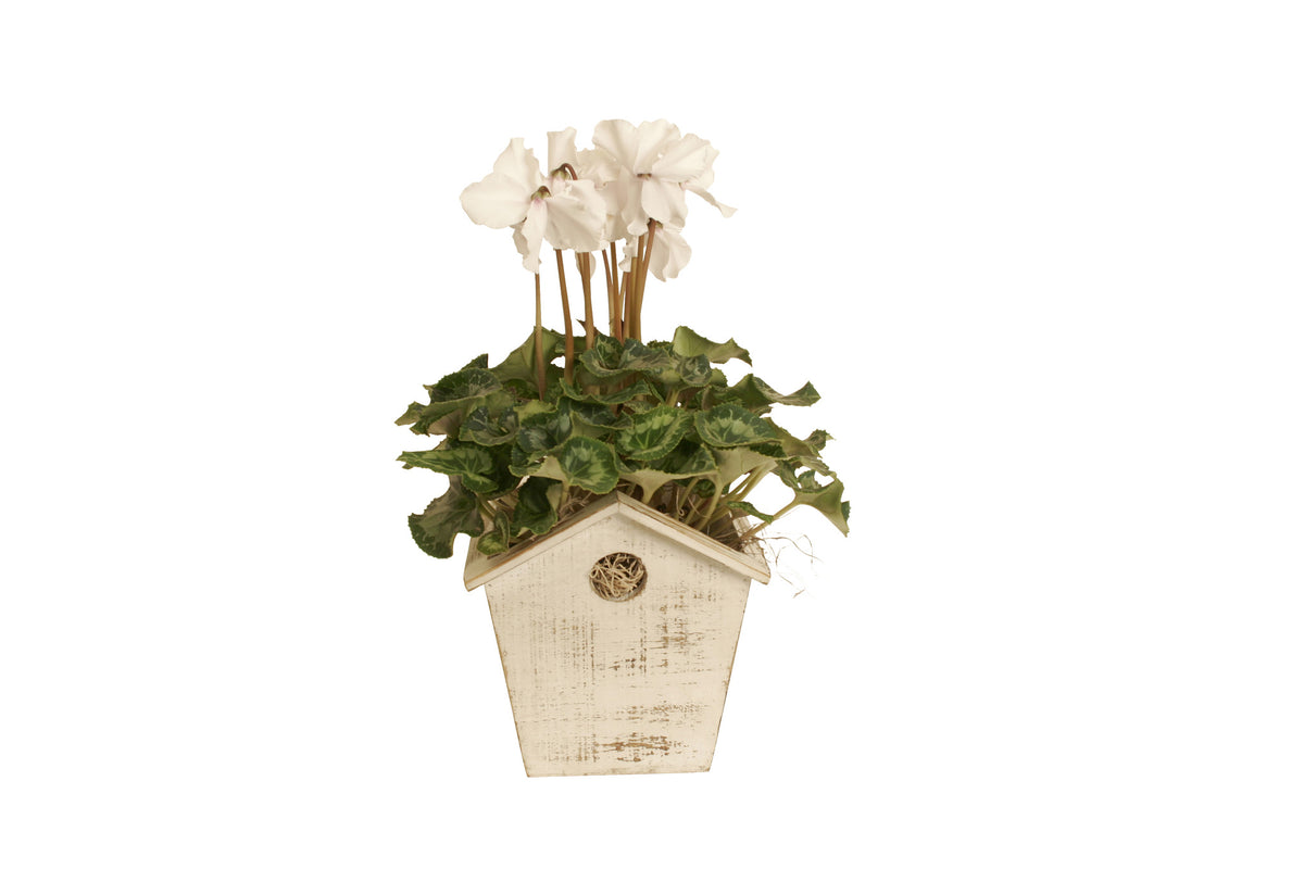 4.75&quot; Whitewash Wood Birdhouse Planter-Wald Imports